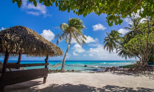 Pension Le Coconut Lodge